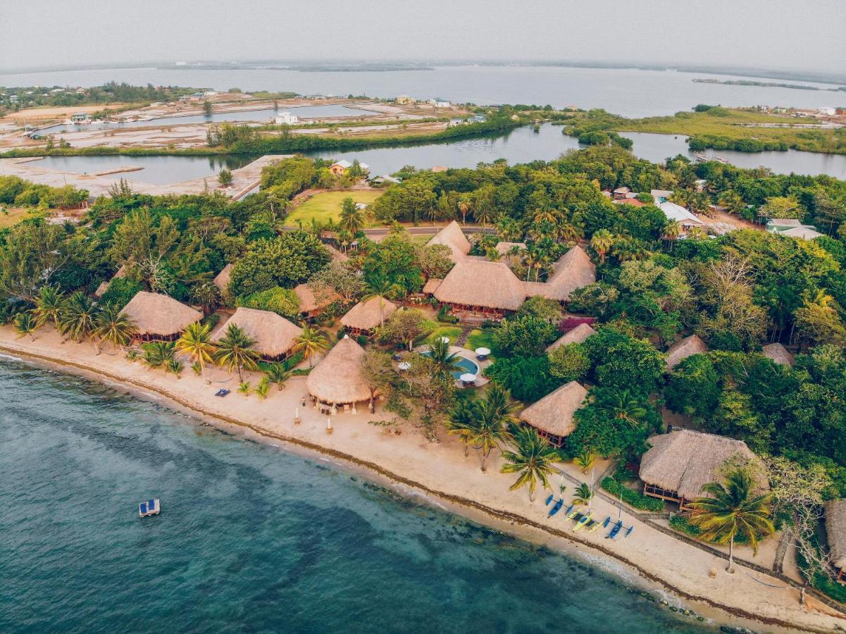 Placencia Turtle Inn المظهر الخارجي الصورة